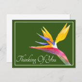 Carte Postale Oiseau de Paradis Fond Vert Pensant à Vous (Devant / Derrière)