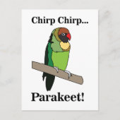 Carte Postale Oiseau de perruches (Devant)