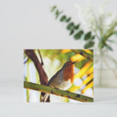 Carte Postale Oiseau de poitrine rouge (Debout devant)