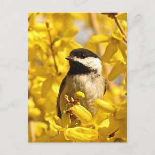Carte postale Oiseau de poulet en fleurs jaunes