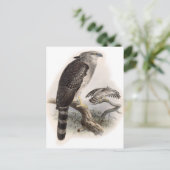 Carte Postale Oiseau de Prey (Debout devant)