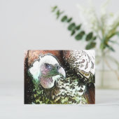 CARTE POSTALE OISEAU DE PREY VULTURE (Debout devant)