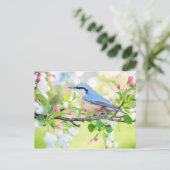 Carte Postale Oiseau de printemps bleu avec fleur rose (Debout devant)