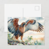 Carte Postale Oiseau de proie de Hawk Majestic (Devant / Derrière)