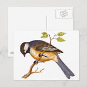 Carte Postale Oiseau de Sibérie doux (Devant / Derrière)
