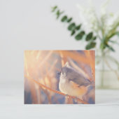 Carte Postale Oiseau de souris tourbé adorable (Debout devant)