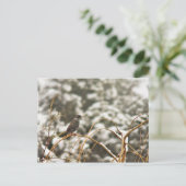 Carte Postale Oiseau de Starling dans la neige (Debout devant)