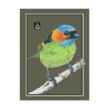 Oiseau de Tanager à cou rouge