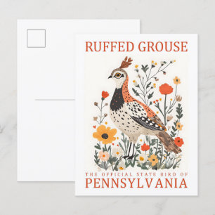 Carte Postale Oiseau de Tétras rouffés de Pennsylvanie Voyage