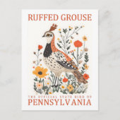 Carte Postale Oiseau de Tétras rouffés de Pennsylvanie Voyage (Devant)