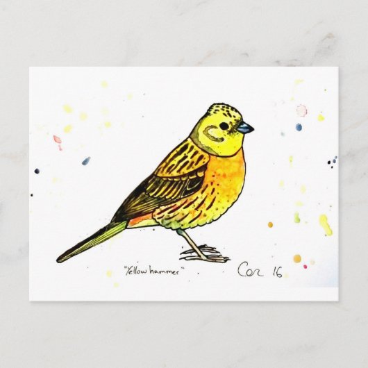 Carte Postale Oiseau de Yellowhammer (Devant)