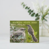 Carte Postale Oiseau d'État de Floride - Mockingbird (Debout devant)