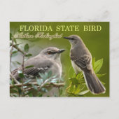 Carte Postale Oiseau d'État de Floride - Mockingbird (Devant)