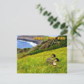 Carte Postale Oiseau d'État de Hawaii - Nene ou Oie hawaïenne (Debout devant)