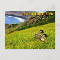 Oiseau d'État de Hawaii - Nene ou Oie hawaïenne