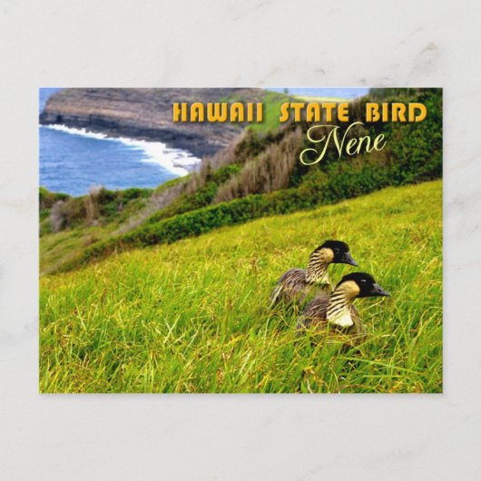 Carte Postale Oiseau d'État de Hawaii - Nene ou Oie hawaïenne (Devant)