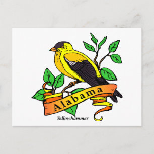 Carte Postale Oiseau d'État de l'Alabama