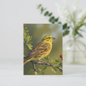 Carte Postale Oiseau d'État de l'Alabama Yellowhammer (Debout devant)