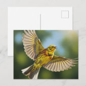 Carte Postale Oiseau d'État de l'Alabama Yellowhammer (Devant / Derrière)