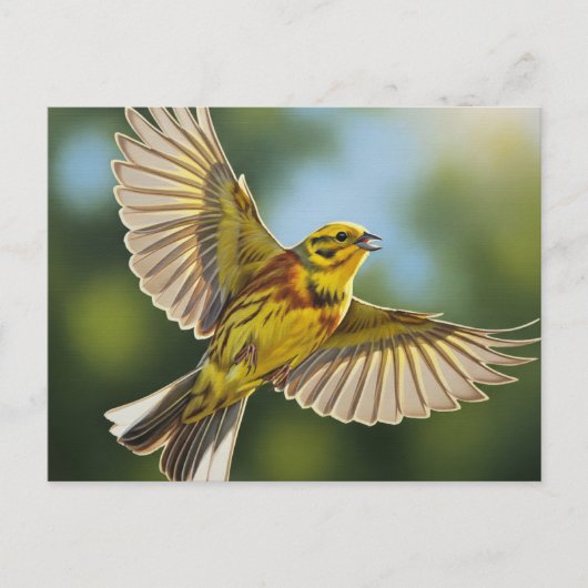 Carte Postale Oiseau d'État de l'Alabama Yellowhammer (Devant)