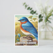 Carte Postale Oiseau d'État de l'Illinois Bluebird oriental (Debout devant)