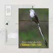 Carte Postale Oiseau d'État de l'Oklahoma : Capteur à ciseaux (Devant / Derrière)