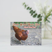 Carte Postale Oiseau d'État de Rhode Island : Rhode Island Red (Debout devant)