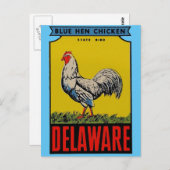 Carte postale Oiseau d'État du Delaware (Devant / Derrière)