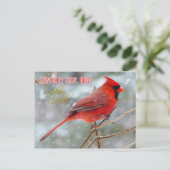 Carte Postale Oiseau d'État du Kentucky - Cardinal du Nord (Debout devant)