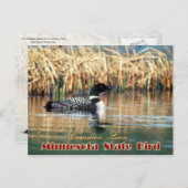 Carte Postale Oiseau d'État du Minnesota - Lot commun (Devant / Derrière)