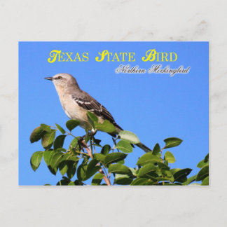 Carte Postale Oiseau d'État du Texas - Oiseau de mer du Nord