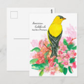 Carte Postale Oiseau d'État jaune d'Goldfinch à Washington (Devant / Derrière)