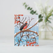 Carte Postale oiseau d'hiver (Debout devant)