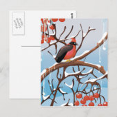 Carte Postale oiseau d'hiver (Devant / Derrière)