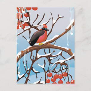 Carte Postale oiseau d'hiver