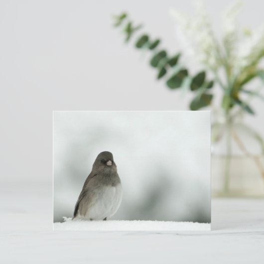 Carte Postale Oiseau d'hiver (Debout devant)