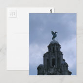 Carte Postale Oiseau du foie à Liverpool (Devant / Derrière)