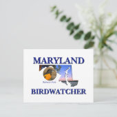Carte Postale Oiseau du Maryland (Debout devant)