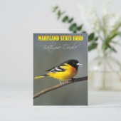 Carte Postale Oiseau du Maryland - Oriole Baltimore (Debout devant)