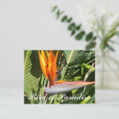 Carte Postale Oiseau du Paradis (Debout devant)