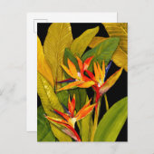 Carte Postale Oiseau du Paradis (Devant / Derrière)