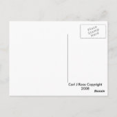 Carte postale Oiseau du Paradis (Dos)