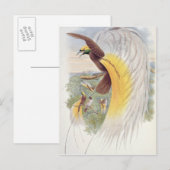 Carte Postale Oiseau du Paradis, des "Oiseaux de Nouvelle-Guinée (Devant / Derrière)