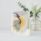 Carte Postale Oiseau du Paradis, des "Oiseaux de Nouvelle-Guinée (Debout devant)