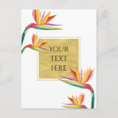 Carte Postale Oiseau du Paradis Elégant Mariage blanc or (Devant)