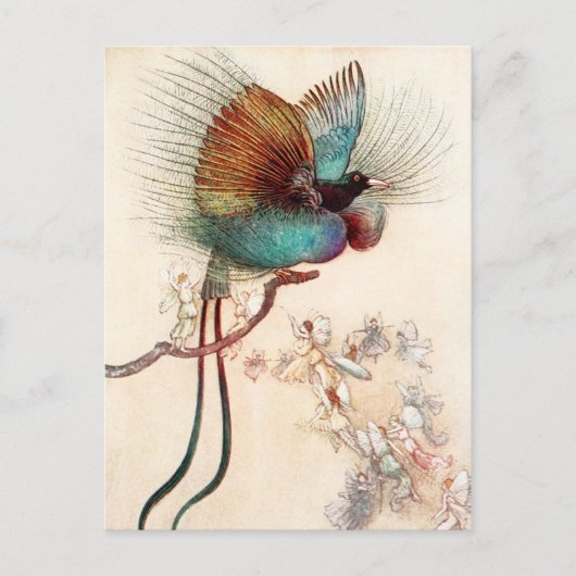 Carte Postale Oiseau du Paradis et fées (Devant)