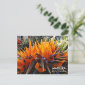 Carte Postale Oiseau du Paradis, MADEIRA (Debout devant)