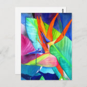 Carte Postale Oiseau du Paradis Strelitzia fleur art tropical (Devant / Derrière)