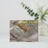 Carte Postale Oiseau du Vermont Hermite Thrush (Debout devant)