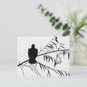 Carte Postale Oiseau En Chanson (Debout devant)
